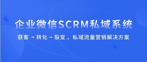 高效赋能企业增长 科汛SCRM正式上线，开启信息咨询服务新篇章